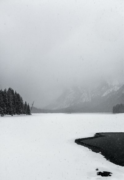 雾天山林雪原